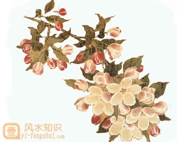 海棠花图