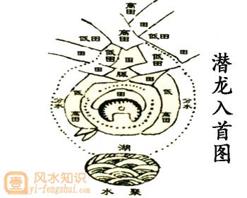 论龙入首五格