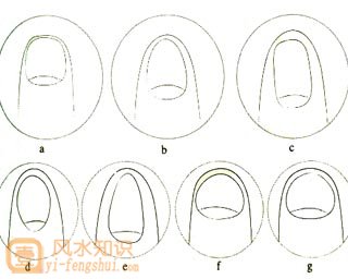 从指甲怎样看出一个人的性格