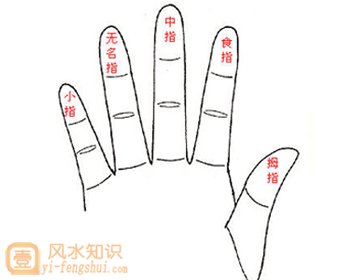 手相手指各代表着什么
