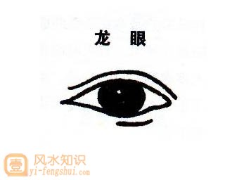 龙眼