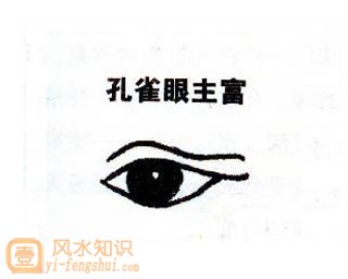 孔雀眼