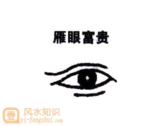 雁眼